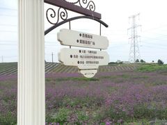 iphone_upload_pic-紫颐香薰山谷景区