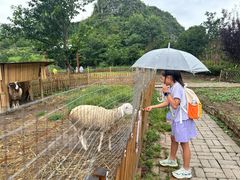 -高荡千年布依古寨旅游景区