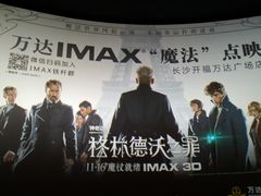 -万达影城(开福万达广场IMAX店)