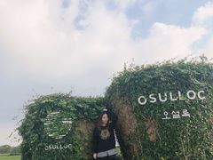 -雪绿茶博物馆