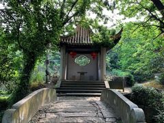 -雨花胜境