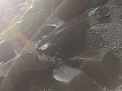 -成都市活水公园
