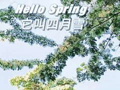 -陶然亭公园