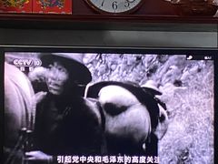-河北医科大学第四医院(本部)
