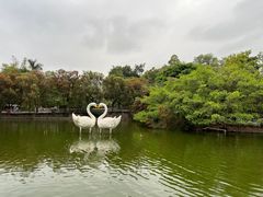 -深圳野生动物园