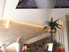 -常州环球恐龙城维景国际大酒店