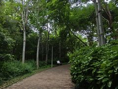 -郑州植物园
