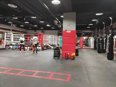 -TFC 纯泰拳馆MuayThai