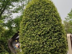 -淹城春秋乐园