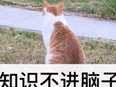 -青春分食(仙林大学城店)