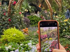 -广州雕塑公园