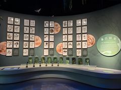 -中国湿地博物馆