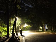 -紫金山山顶公园
