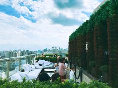 -顶层酒吧ROOF(上海艾迪逊酒店)