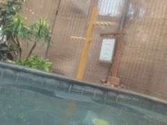 -白桦林温泉谷