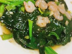虾仁烧菠菜-老健康贾姨原味馆