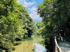 -石台牯牛降景区