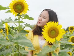 -光明小镇欢乐田园