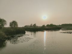 -苏州太湖湖滨国家湿地公园