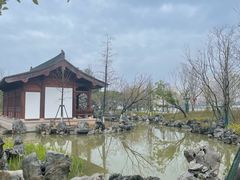 -江心屿景区