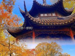 -拙政园