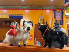 店内环境-如意林卡藏餐吧(大昭寺店)