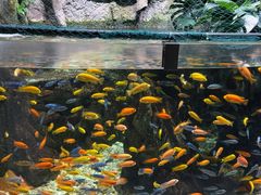 -太平洋海底世界