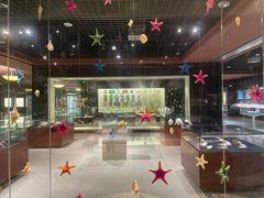 -青岛贝壳博物馆