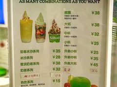 菜单-Salud撒露欧洲冻酸奶(五道口购物中心店)