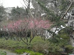 -汇龙潭