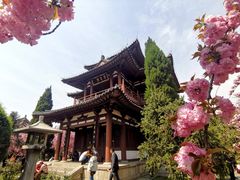 -西安青龙寺遗址景区