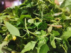 -黔府豆米火锅野菜馆(南马店)