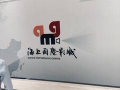 -AMG海上明珠影城(上海环球港RealDCinema店)