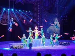 -珠海横琴长隆《卡卡虎奇遇记》