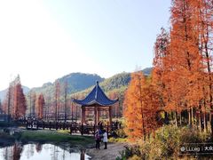 -广州市石门国家森林公园