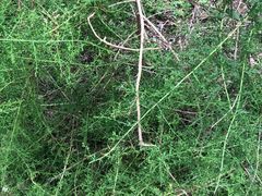 -广州神农草堂中医药博物馆