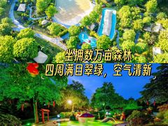 -佛冈森波拉度假区