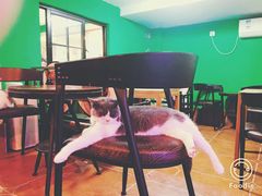 -李小姐の猫咖啡馆(五角场店)