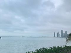 -万绿园