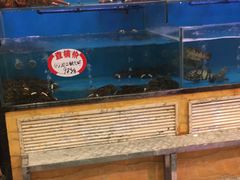 水产区-潮喜竹溪荔湖酒家(荔枝湾店)