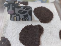 -卡吉诺动物奶油生日蛋糕(中原路店)