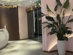 -MUSES专业脱毛比基尼サロン日式连锁