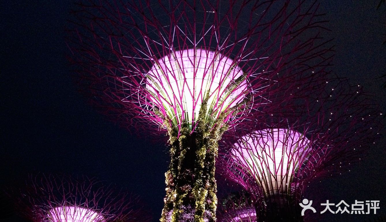 【玩转新加坡🇸🇬】人均不到4000💰必去全攻略