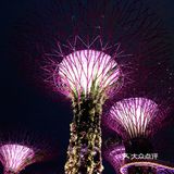 【玩转新加坡🇸🇬】人均不到4000💰必去全攻略