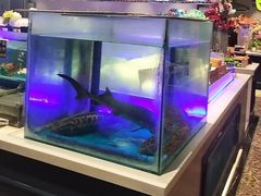 -SEA西雅图海鲜自助餐厅(海乐世界店)