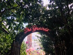 -The Grounds of Alexandria