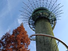 -盐城丹顶鹤湿地生态旅游区