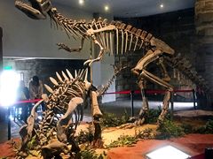 -自贡恐龙博物馆