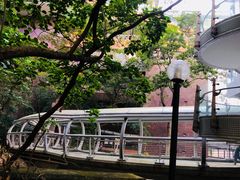 -香港大学