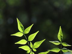 -南京市江宁方山